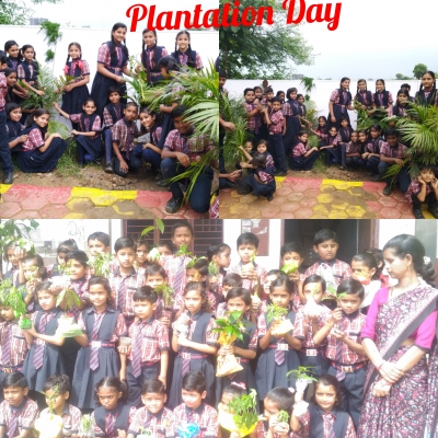 Celebrations and competitions